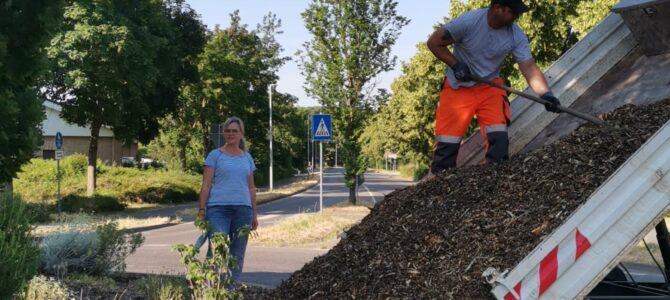 – Der Verkehrskreisel, unser Patenkind- – Der Verkehrskreisel, unser Patenkind-